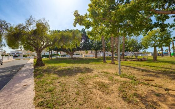 2 bedroom Townhouse in Torrevieja - CYM146980 - Photo - Small - 33