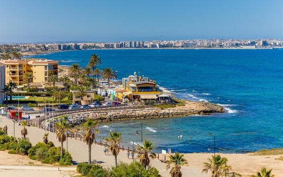 2 bedroom Townhouse in Torrevieja - CYM146980 - Photo - Small - 41