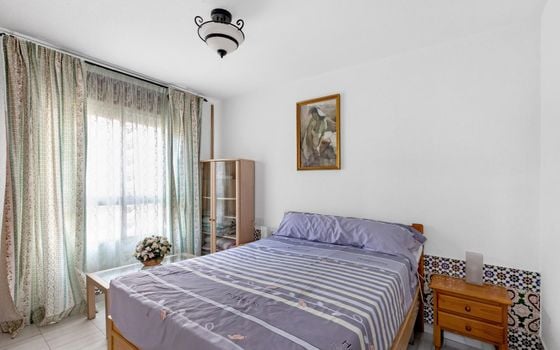 Bungalow de 3 chambres à Torrevieja - HRE140912 - Photo - Small - 15