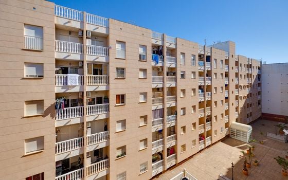 2 bedroom Apartment in Torrevieja - CYM146979 - Photo - Small - 24