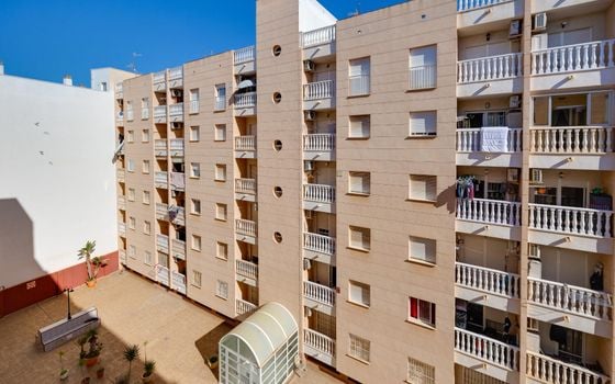 2 bedroom Apartment in Torrevieja - CYM146979 - Photo - Small - 23
