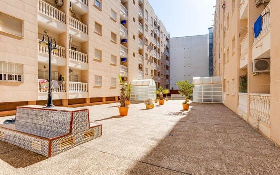 2 bedroom Apartment in Torrevieja - CYM146979 - Photo - Small - 26