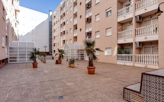 2 bedroom Apartment in Torrevieja - CYM146979 - Photo - Small - 25