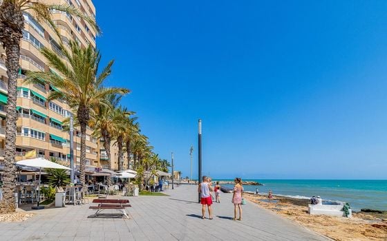 2 bedroom Apartment in Torrevieja - CYM146979 - Photo - Small - 39