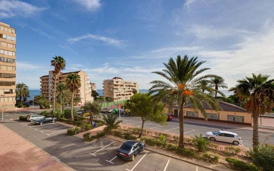 2 bedroom Apartment in Torrevieja - HRE140923 - Photo - Small - 22
