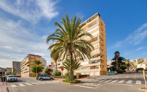 2 bedroom Apartment in Torrevieja - HRE140923 - Photo - Small - 28