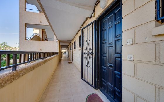 2 bedroom Apartment in Torrevieja - HRE140923 - Photo - Small - 18