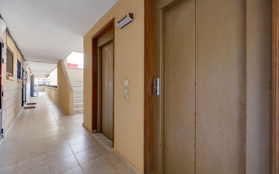 2 bedroom Apartment in Torrevieja - HRE140923 - Photo - Small - 19