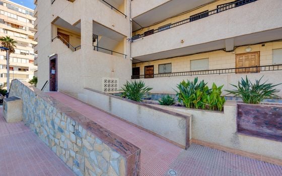 2 bedroom Apartment in Torrevieja - HRE140923 - Photo - Small - 21