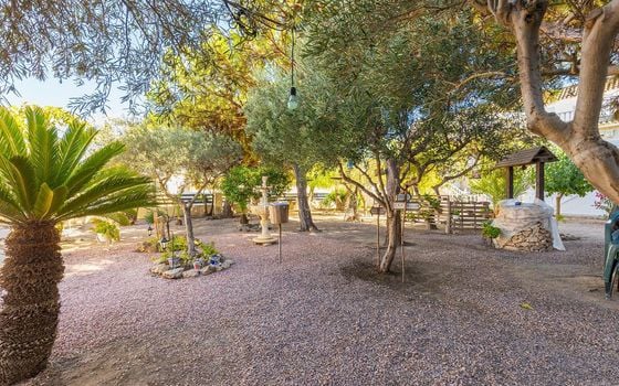 3 bedroom Bungalow in La Mata - HRE140927 - Photo - Small - 24