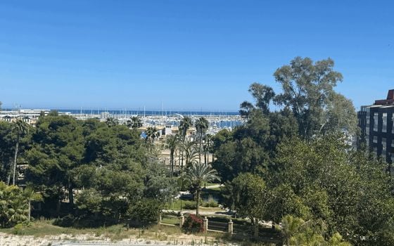 2 bedroom Apartment in Torrevieja - AET140971 - Photo - Small - 11
