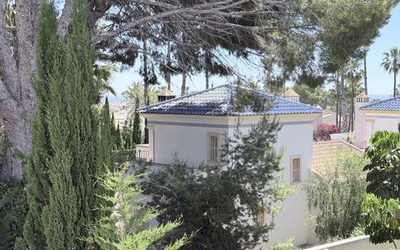 2 bedroom Apartment in Orihuela Costa - AET140972 - Photo - Small - 16