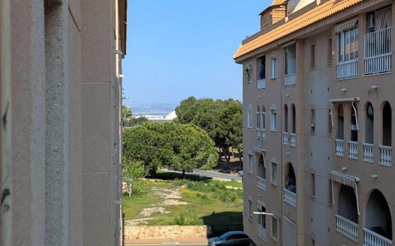 2 bedroom Apartment in Torrevieja - SV141099 - Photo - Small - 16