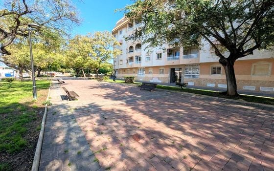 2 bedroom Apartment in Torrevieja - SV141099 - Photo - Small - 21