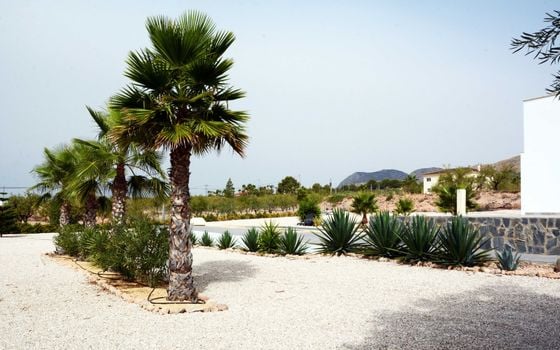 Villa de 3 chambres à Hondón de los Frailes - SLN141134 - Photo - Small - 37