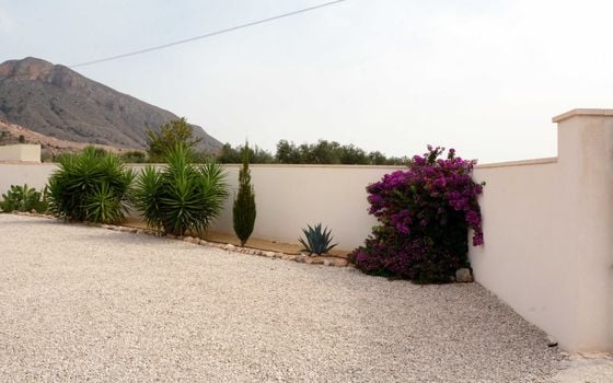 Villa de 3 chambres à Hondón de los Frailes - SLN141134 - Photo - Small - 38