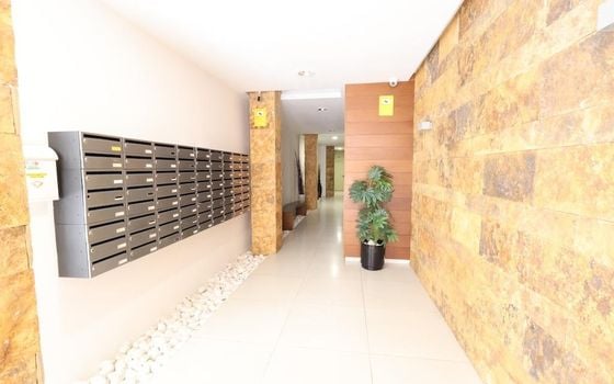 Appartement de 3 chambres à Torrevieja - CRR141166 - Photo - 3