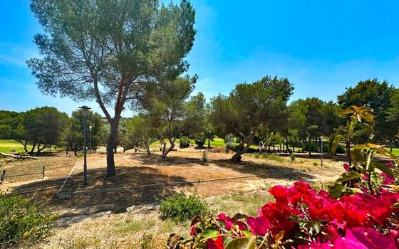 3 bedroom Villa in Orihuela Costa - FPS141341 - Photo - Small - 36