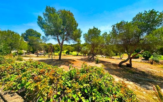 3 bedroom Villa in Orihuela Costa - FPS141341 - Photo - Small - 35