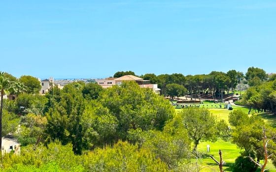 3 bedroom Villa in Orihuela Costa - FPS141341 - Photo - Small - 37