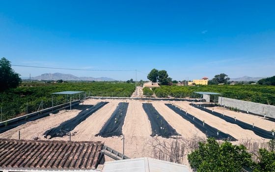 Vilă cu 4 dormitoare în Albatera - PR141501 - Imagini - Small - 31