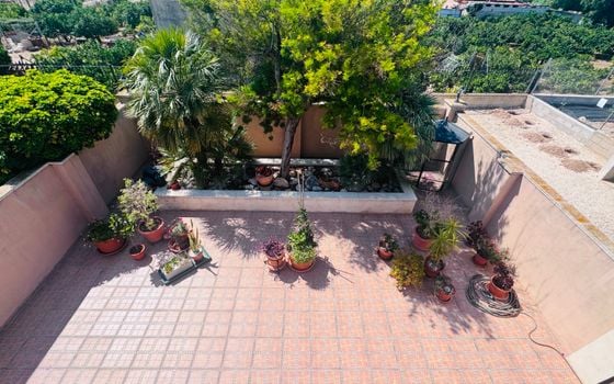 Vilă cu 4 dormitoare în Albatera - PR141501 - Imagini - Small - 30