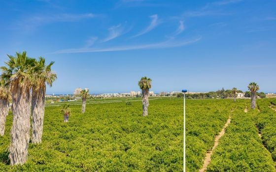 3 bedroom Townhouse in Torrevieja - SV142012 - Photo - Small - 34