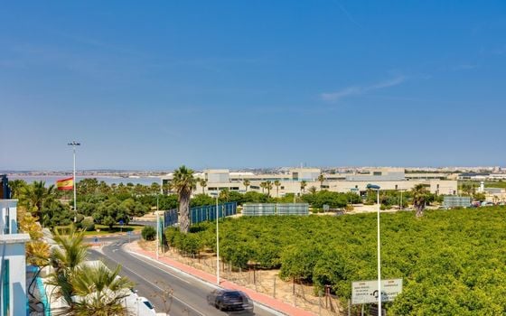 3 bedroom Townhouse in Torrevieja - SV142012 - Photo - Small - 35