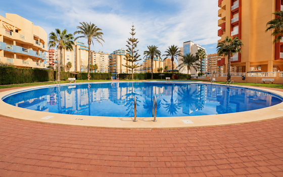 Appartement de 3 chambres à La Manga - GRI36399 - Photo - Small - 6