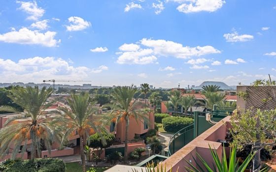 3 bedroom Penthouse in San Juan de Alicante - CBE142325 - Photo - Small - 35