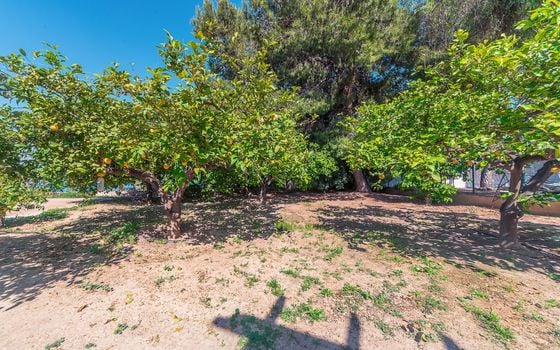 4 bedroom Villa in San Vicente del Raspeig - CBE142326 - Photo - Small - 32