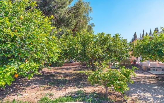 4 bedroom Villa in San Vicente del Raspeig - CBE142326 - Photo - Small - 33