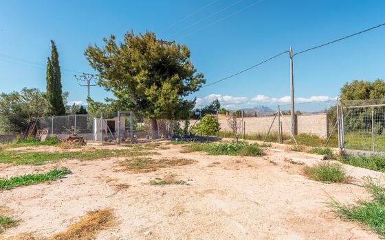 4 bedroom Villa in San Vicente del Raspeig - CBE142326 - Photo - Small - 31