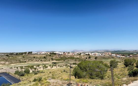 Villa de 3 chambres à San Miguel de Salinas - EES142358 - Photo - Small - 26