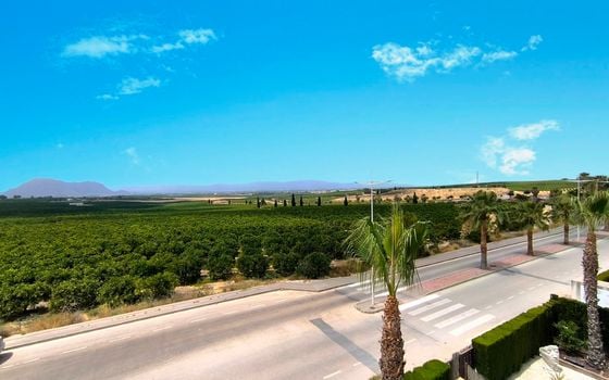 Penthouse de 2 chambres à Algorfa - PR142614 - Photo - Small - 28