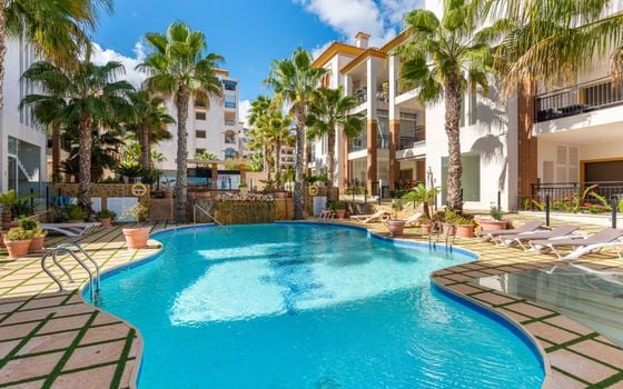 2 bedroom Apartment in Guardamar del Segura - SV142621 - Photo - Small - 25