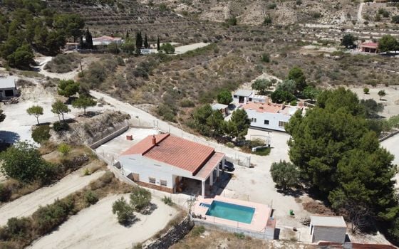 Villa de 4 chambres à Crevillente - IMA142623 - Photo - Small - 20