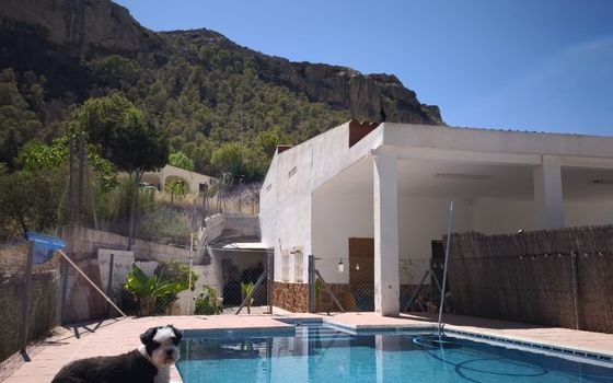 Villa de 4 chambres à Crevillente - IMA142623 - Photo - Small - 3