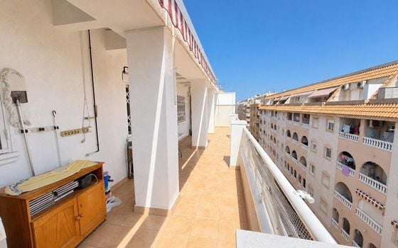 Penthouse de 3 chambres à Torrevieja - GVS142693 - Photo - Small - 18