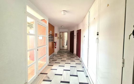 Appartement de 2 chambres à Torrevieja - EES142809 - Photo - Small - 13
