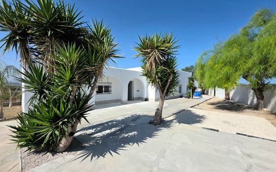 4 bedroom Villa in San Fulgencio - NSP143012 - Photo - 4