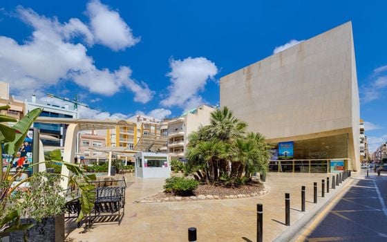 3 bedroom Penthouse in Torrevieja - MRS143057 - Photo - Small - 43