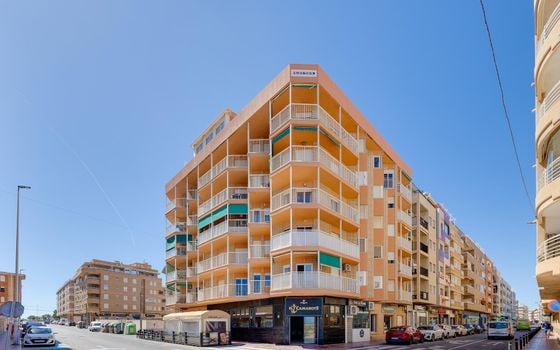 Appartement de 3 chambres à Torrevieja - MS143384 - Photo - 2