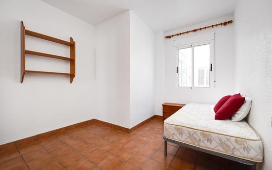Appartement de 3 chambres à Torrevieja - MS143384 - Photo - Small - 17
