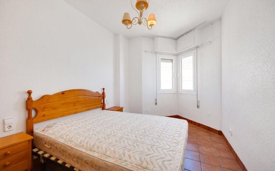 Appartement de 3 chambres à Torrevieja - MS143384 - Photo - Small - 14