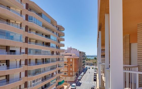 Appartement de 3 chambres à Torrevieja - MS143384 - Photo - Small - 23