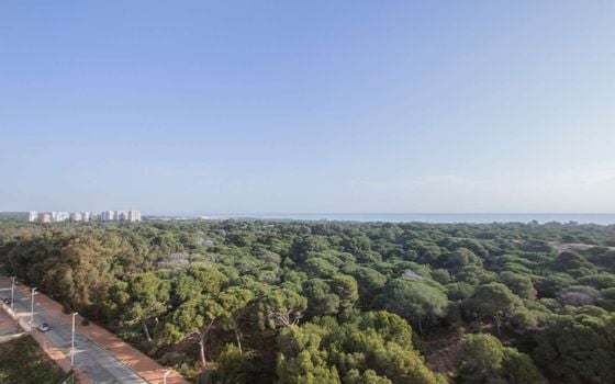 3 bedroom Penthouse in Guardamar del Segura - EES143426 - Photo - Small - 17