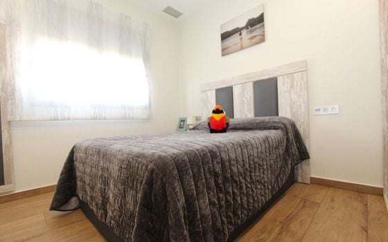 3 bedroom Villa in Daya Nueva - EES143569 - Photo - Small - 16