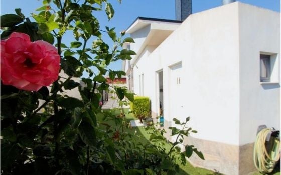 3 bedroom Villa in Daya Nueva - EES143569 - Photo - Small - 30