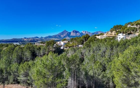 Parcela de  en Callosa de Ensarriá- ICB143628 - Foto - 1